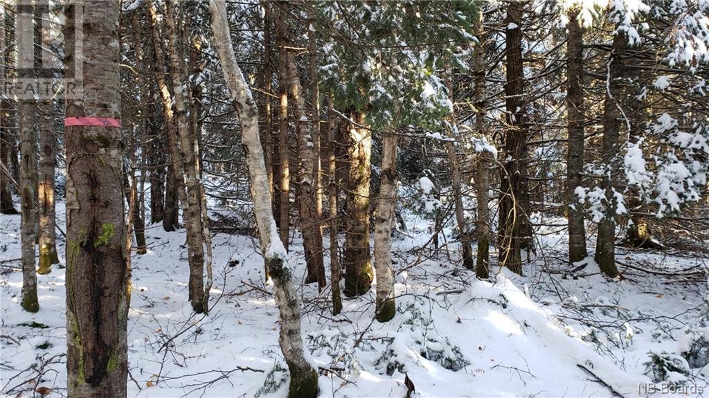 - Pleasant Lake Road