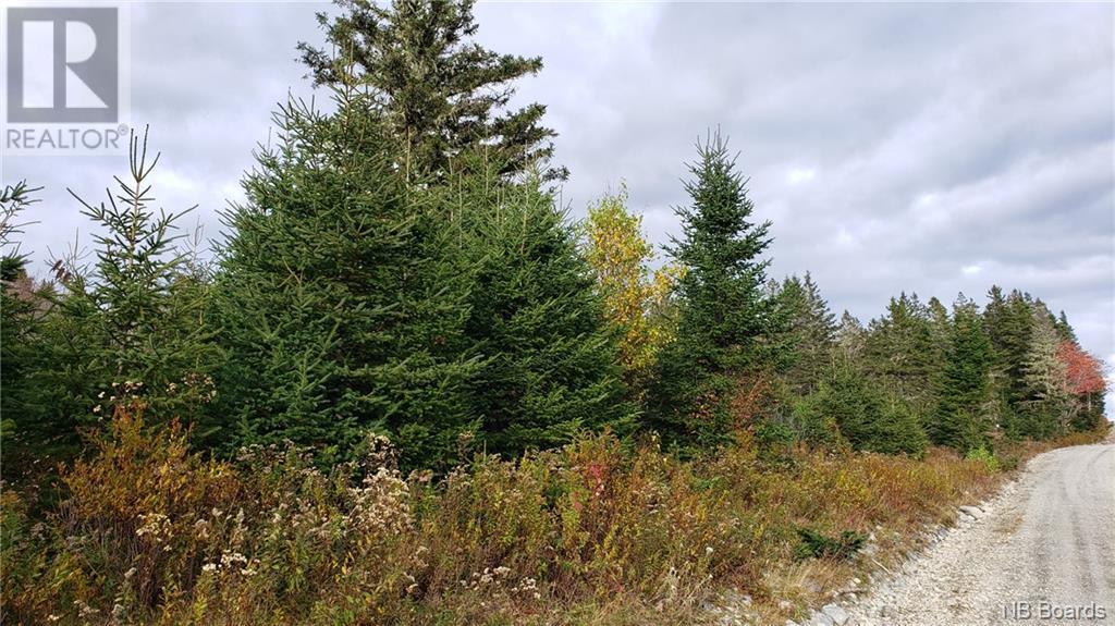 - Pleasant Lake Road
