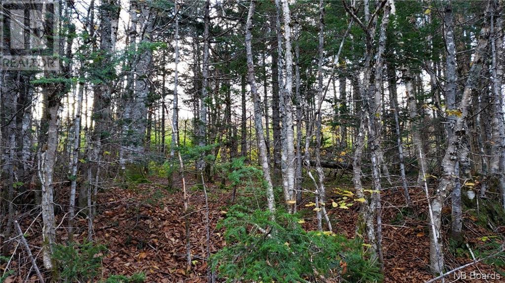 - Pleasant Lake Road
