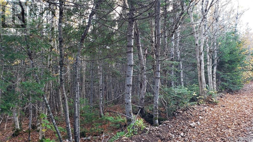 - Pleasant Lake Road