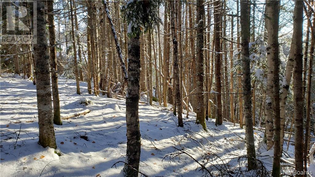 - Pleasant Lake Road