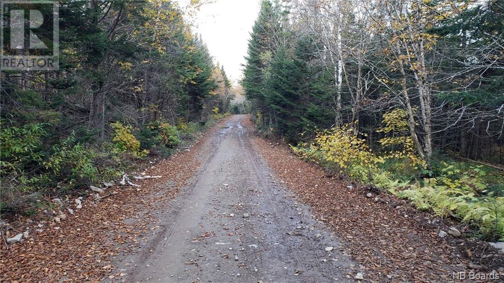 - Pleasant Lake Road