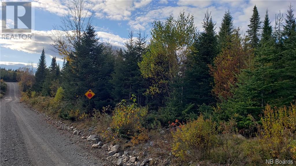 - Pleasant Lake Road