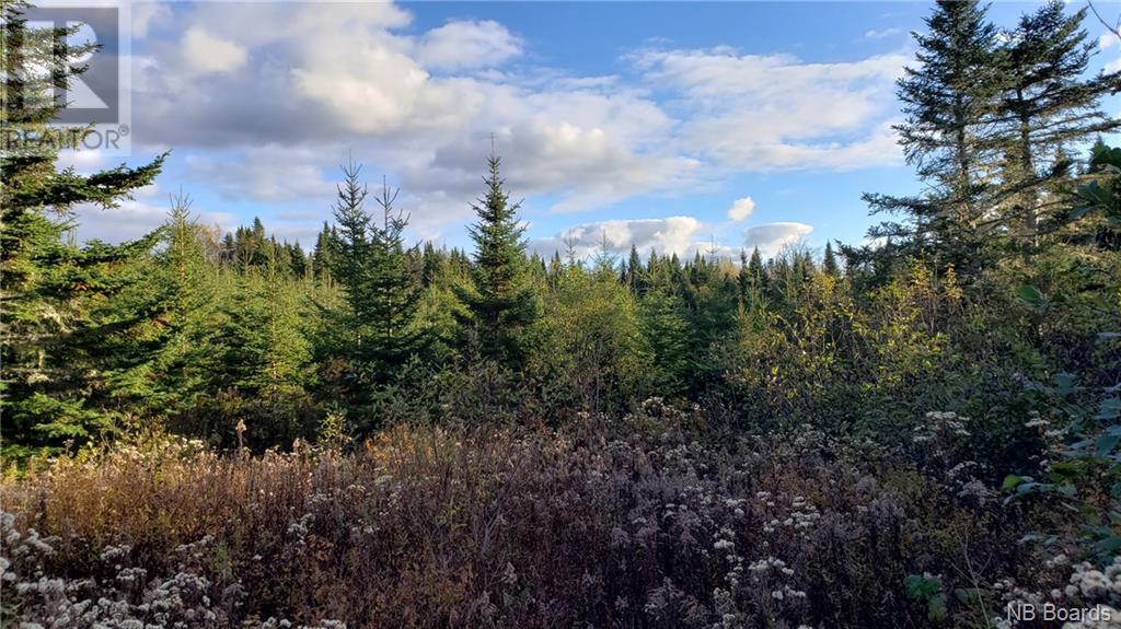 - Pleasant Lake Road