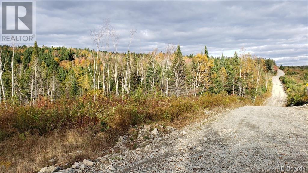 - Pleasant Lake Road