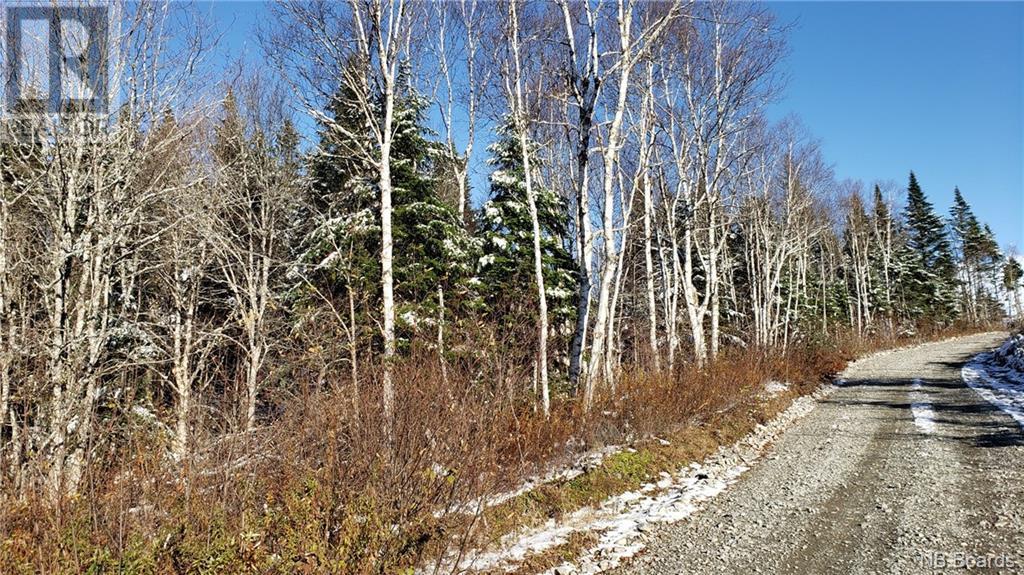 - Pleasant Lake Road