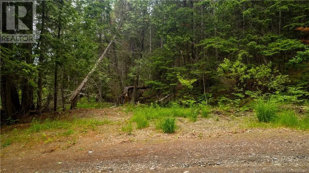 172 Lily Hill Road