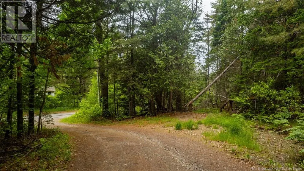 172 Lily Hill Road