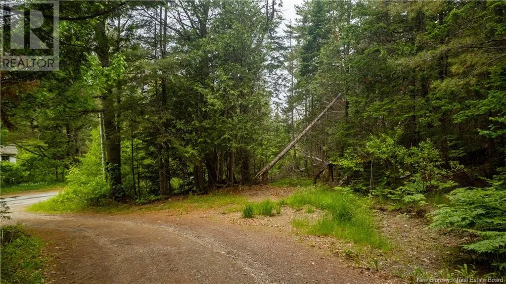 172 Lily Hill Road