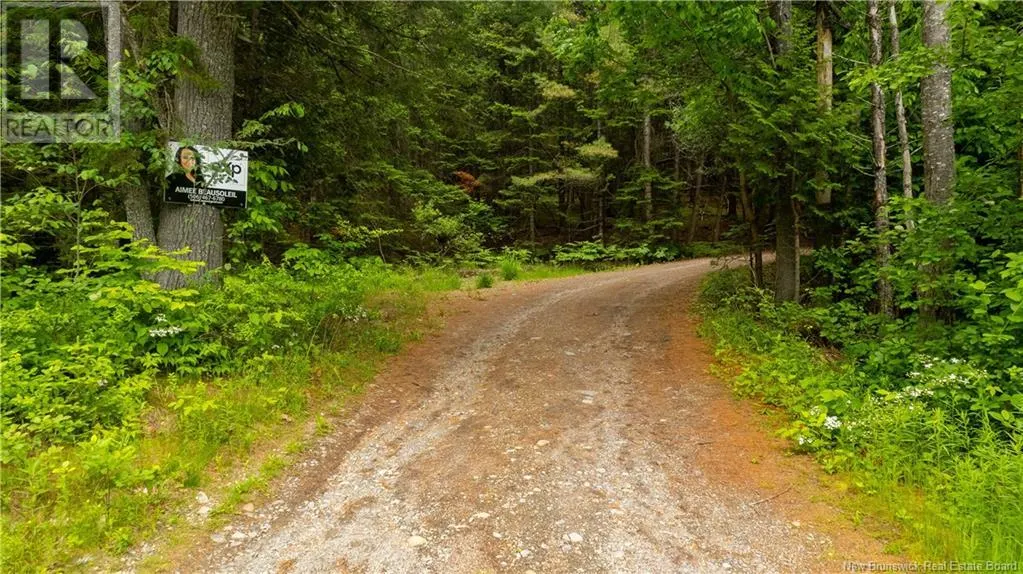 172 Lily Hill Road