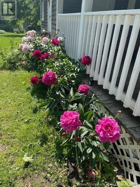 350 Debec Road