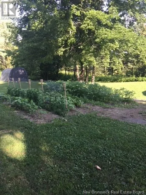350 Debec Road