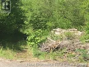 234 Flanagan Road