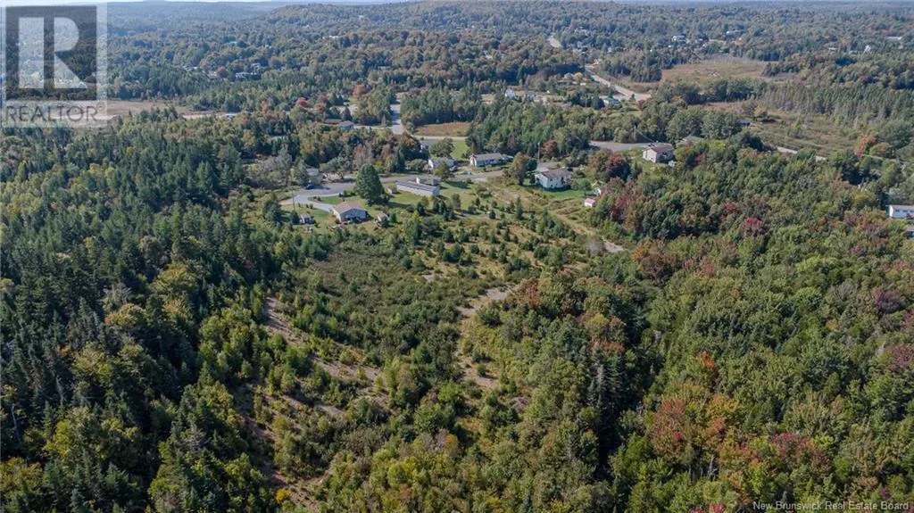 VACANT LAND LORRAINE Court