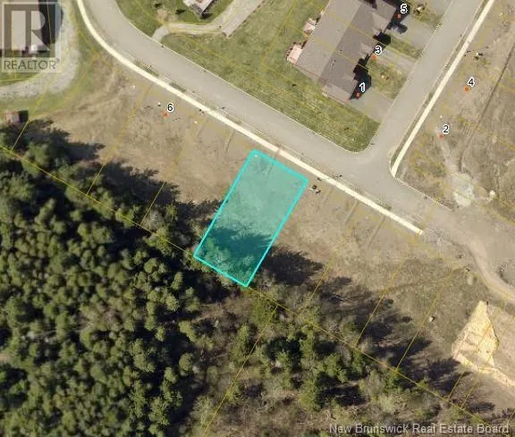 20-4 Elmwood Drive