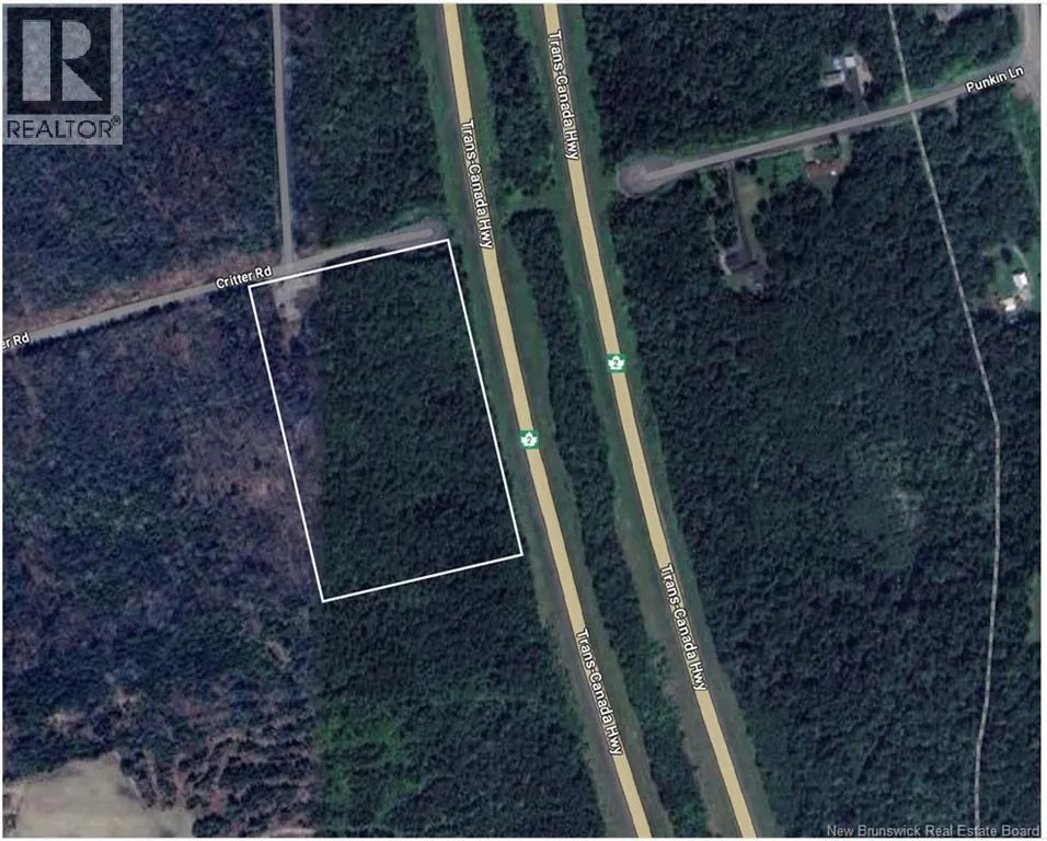 Lot Critter Road