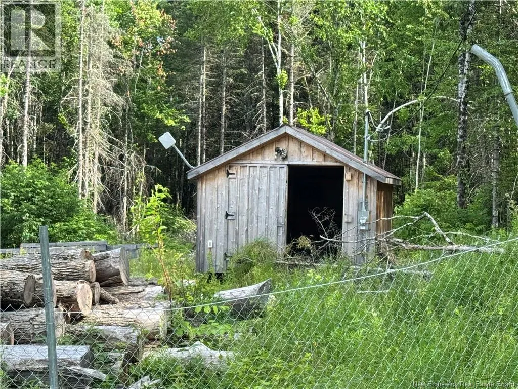 Lot Critter Road