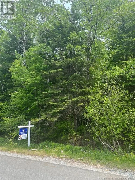 22-5 Bradley Lake Road