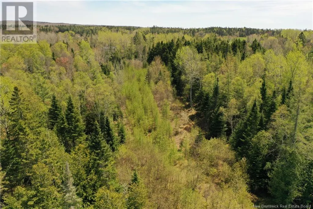 13 lots off Executive Drive