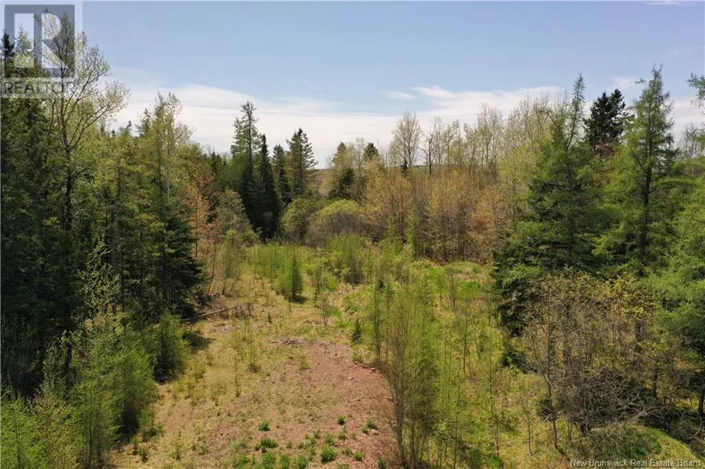 13 lots off Executive Drive