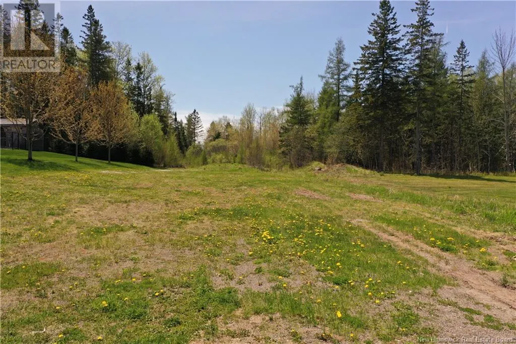 13 lots off Executive Drive