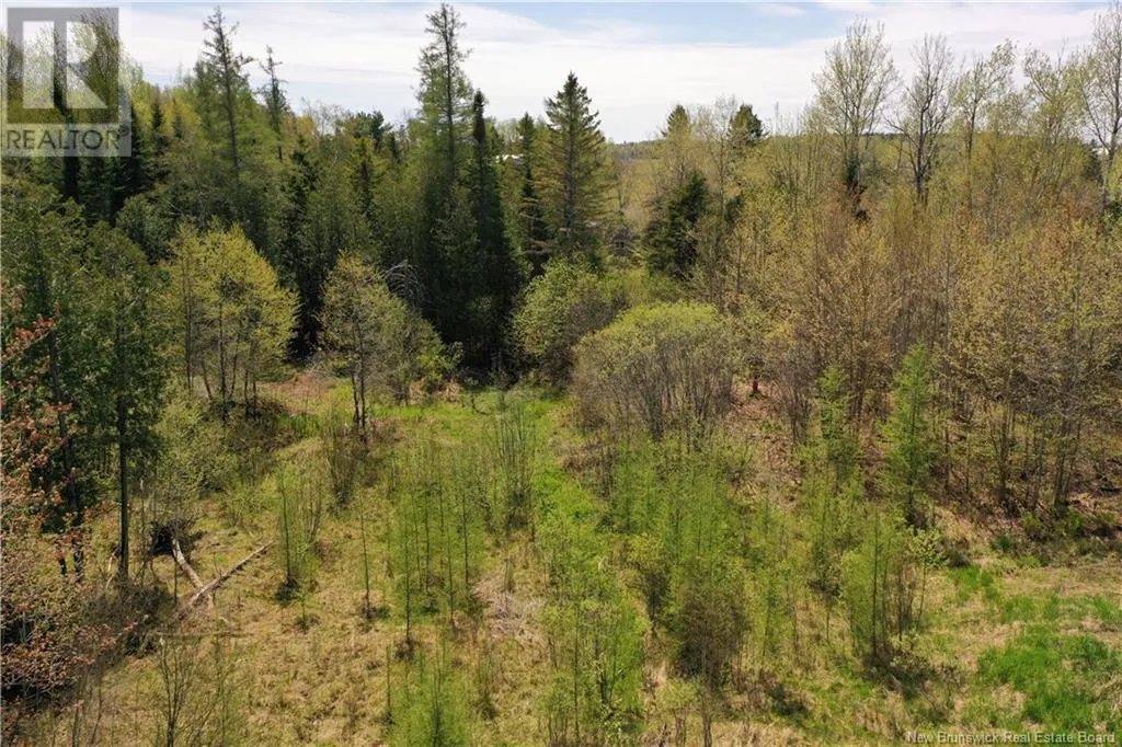 13 lots off Executive Drive