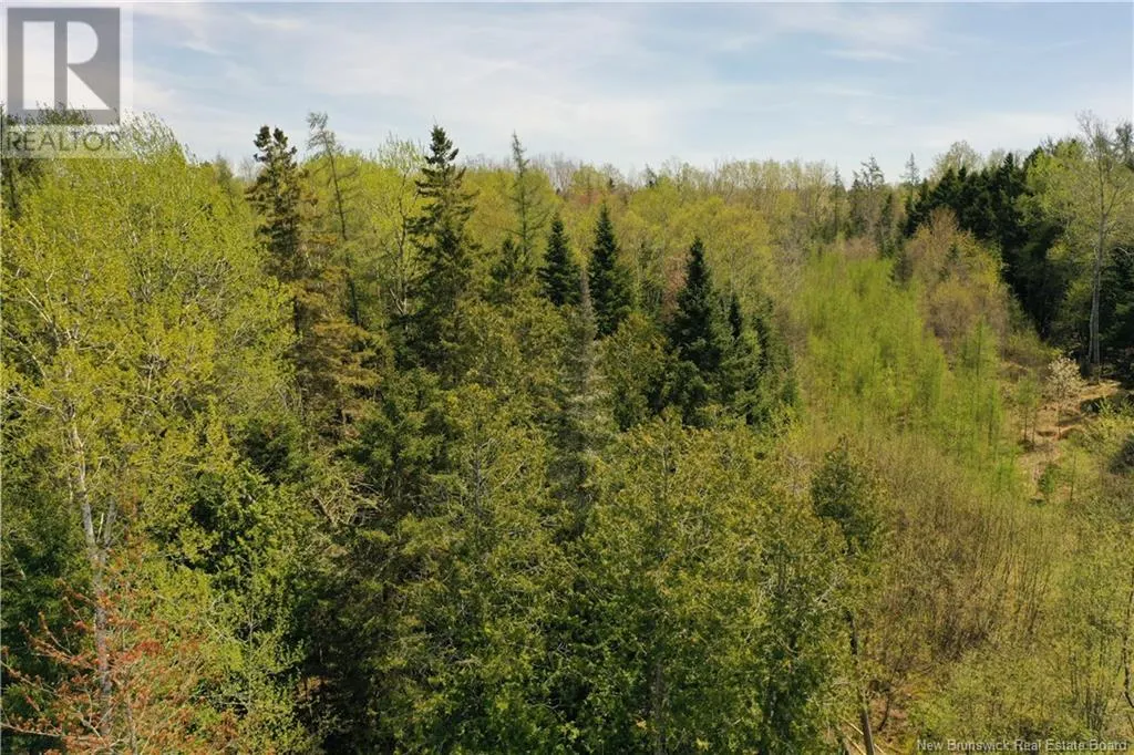 13 lots off Executive Drive