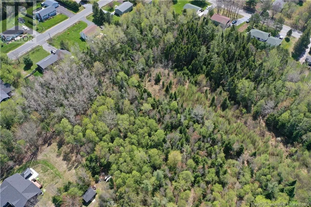 13 lots off Executive Drive