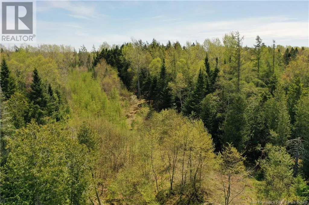 13 lots off Executive Drive