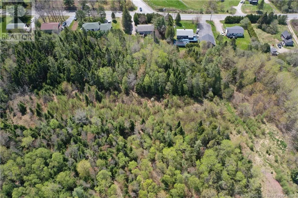 13 lots off Executive Drive