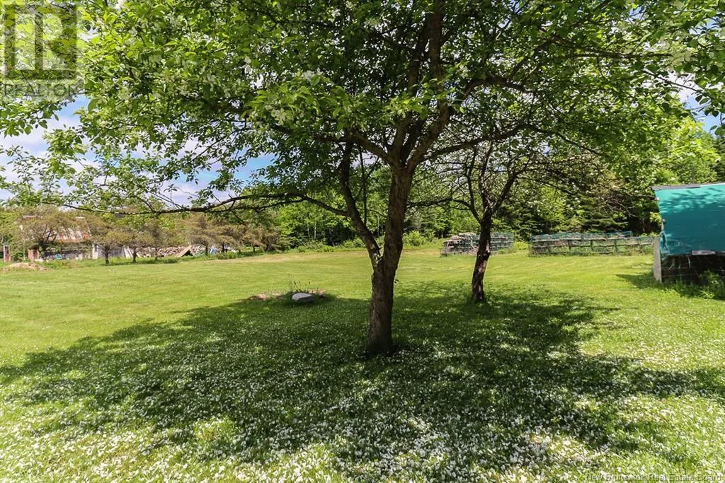 460 Big Salmon River Road