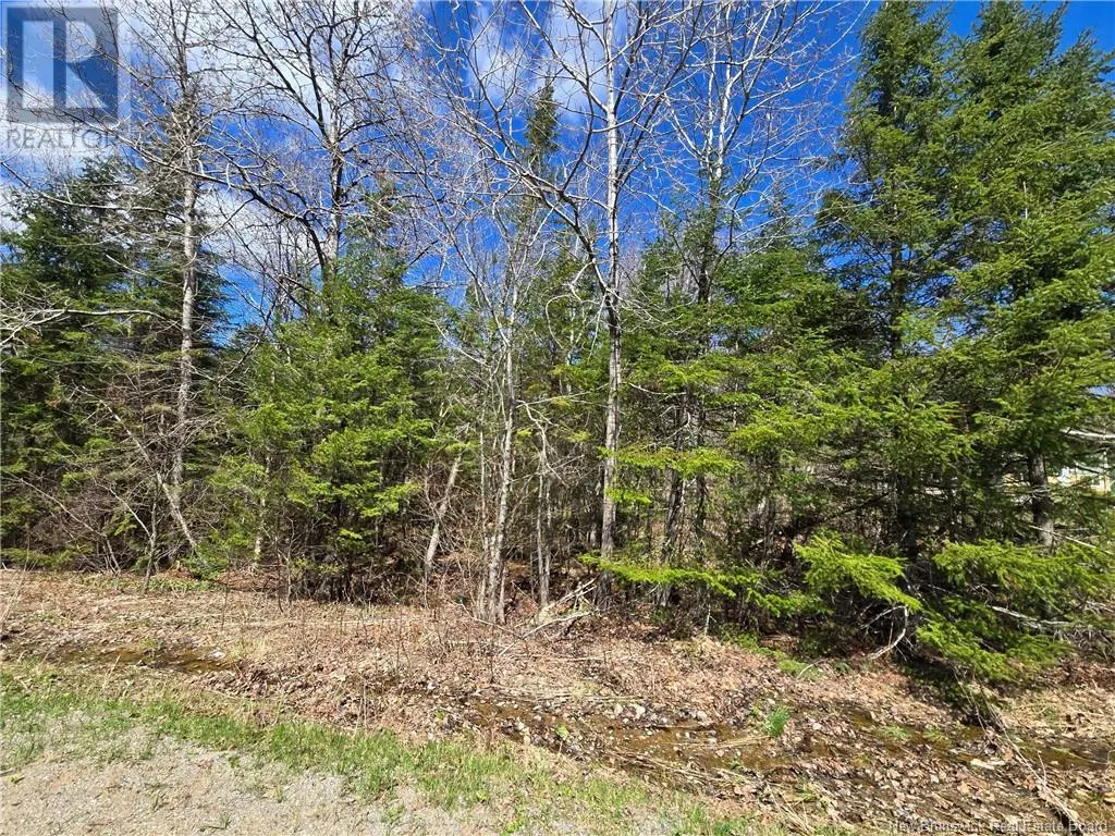 318 Ketchum Road