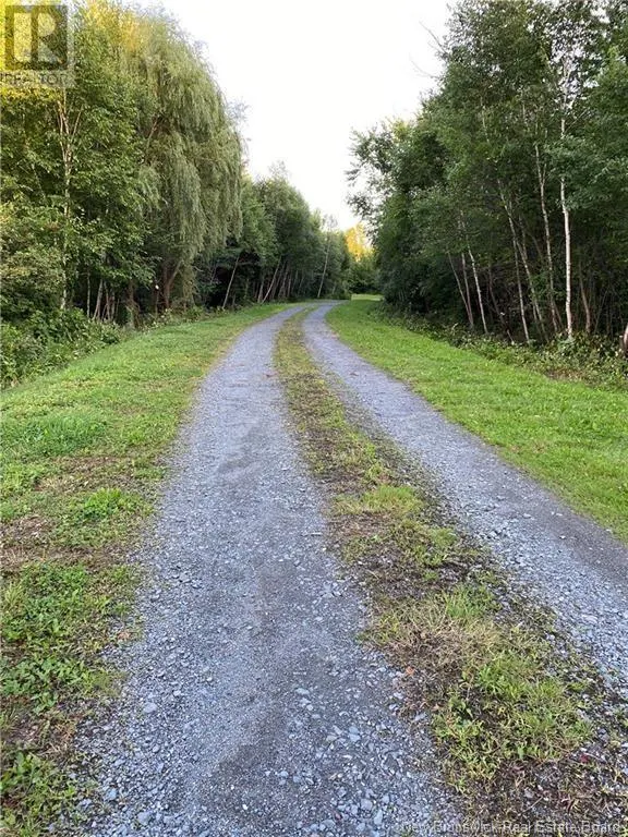 447 & 411 New Maryland Highway