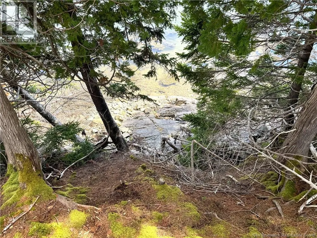 379 Hills Point Road