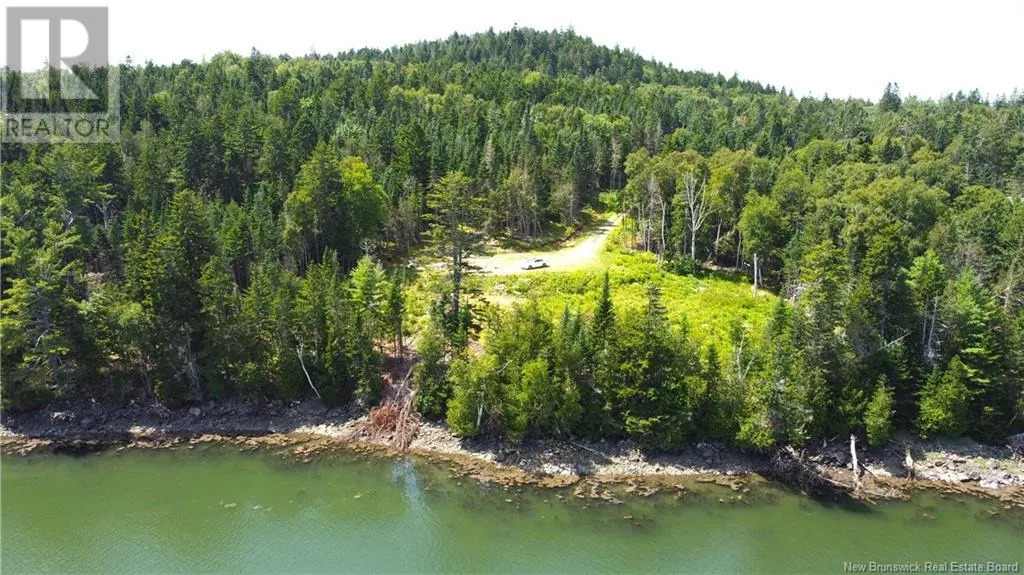 379 Hills Point Road