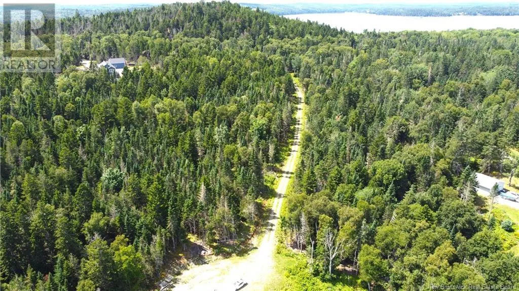 379 Hills Point Road