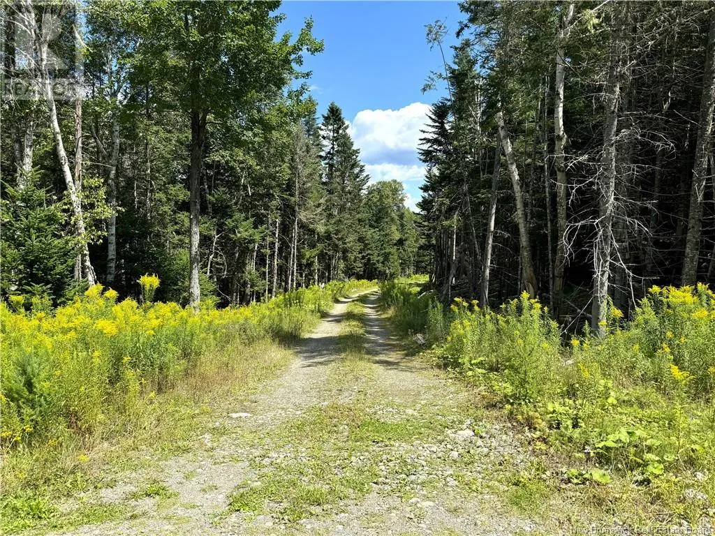 379 Hills Point Road