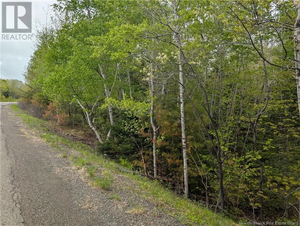 Lot Route 102