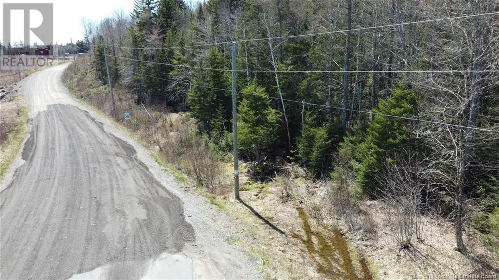 Mitchell Road