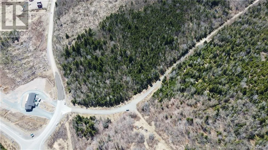 Mitchell Road