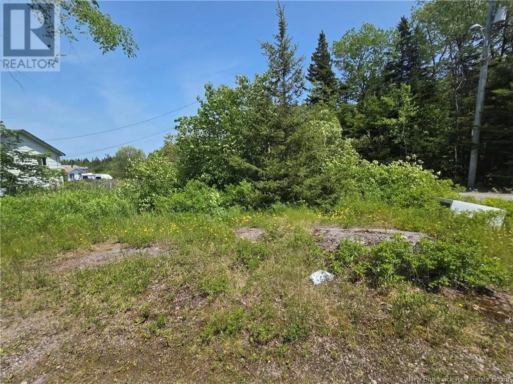 159 Goldsworthy Road