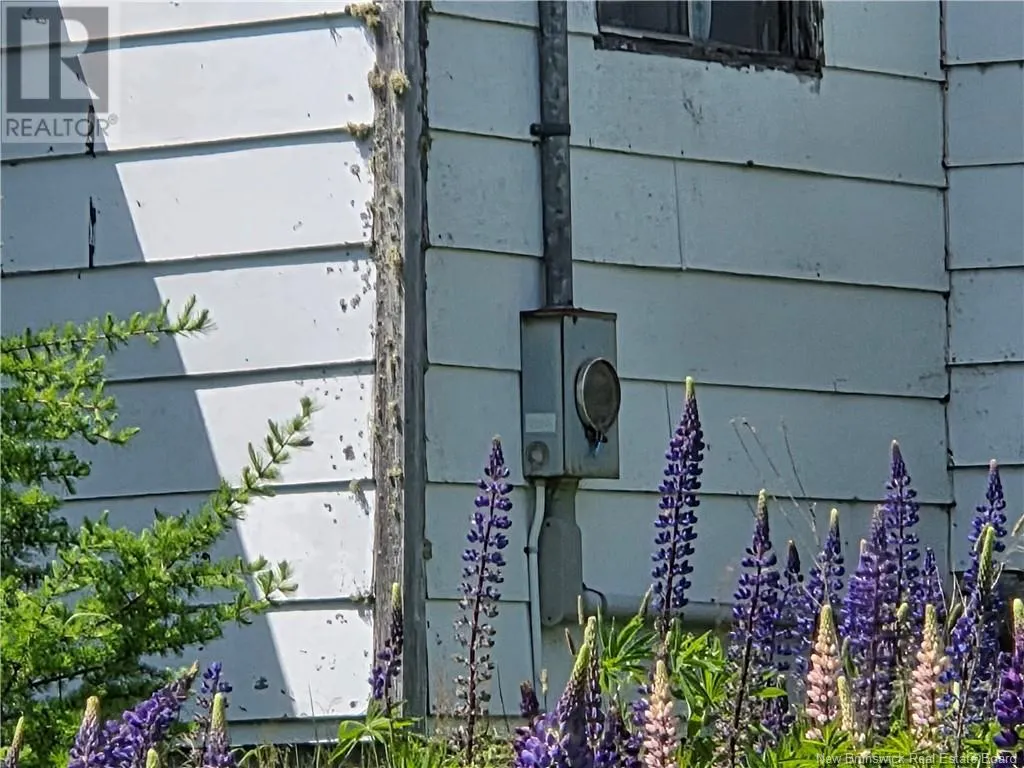 159 Goldsworthy Road