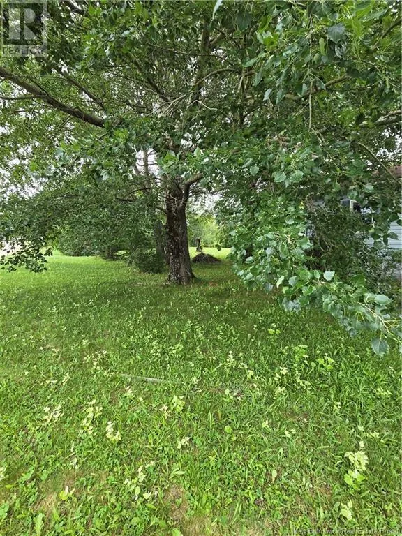 620 Chartersville Road