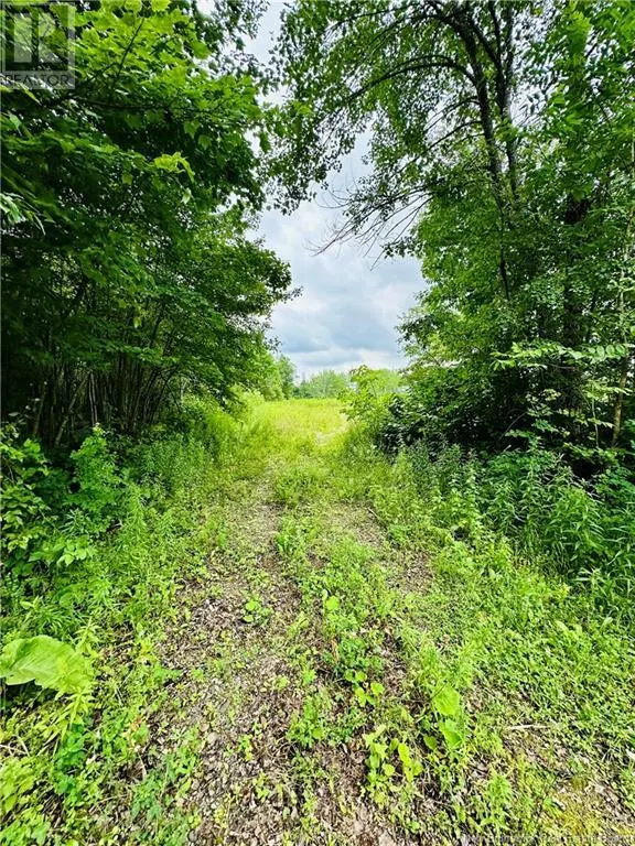 Lot 02-1 Slater Road