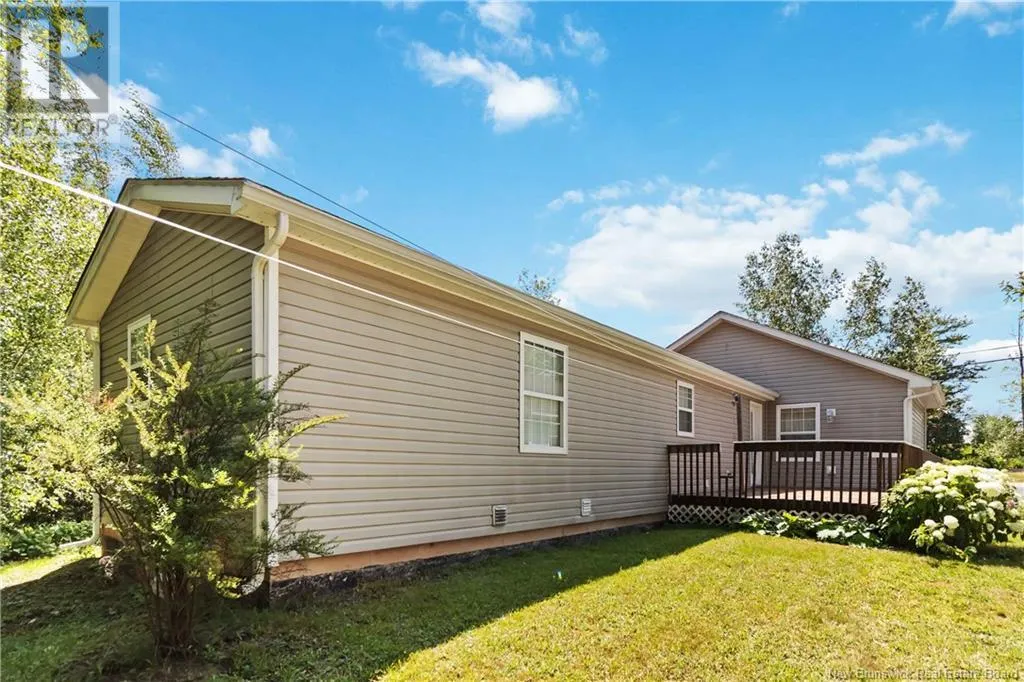 23 Sequoia