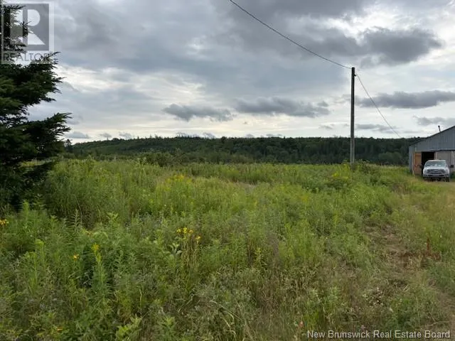 40 Devine Rd W