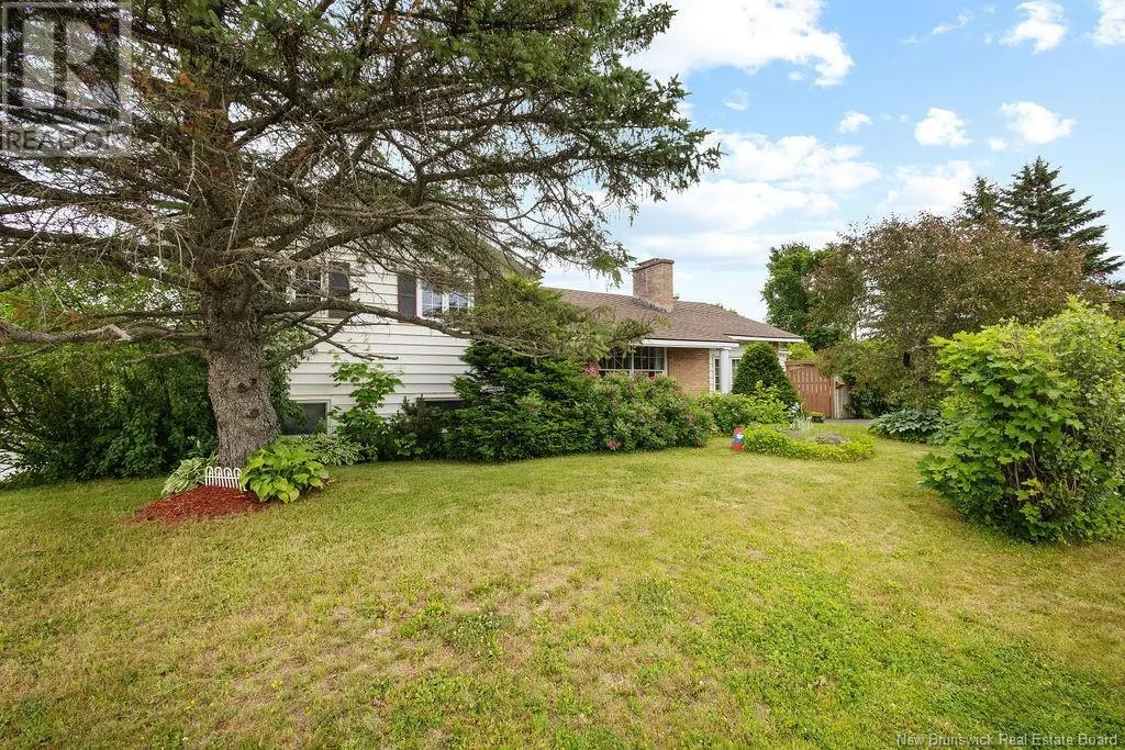 97 University Avenue