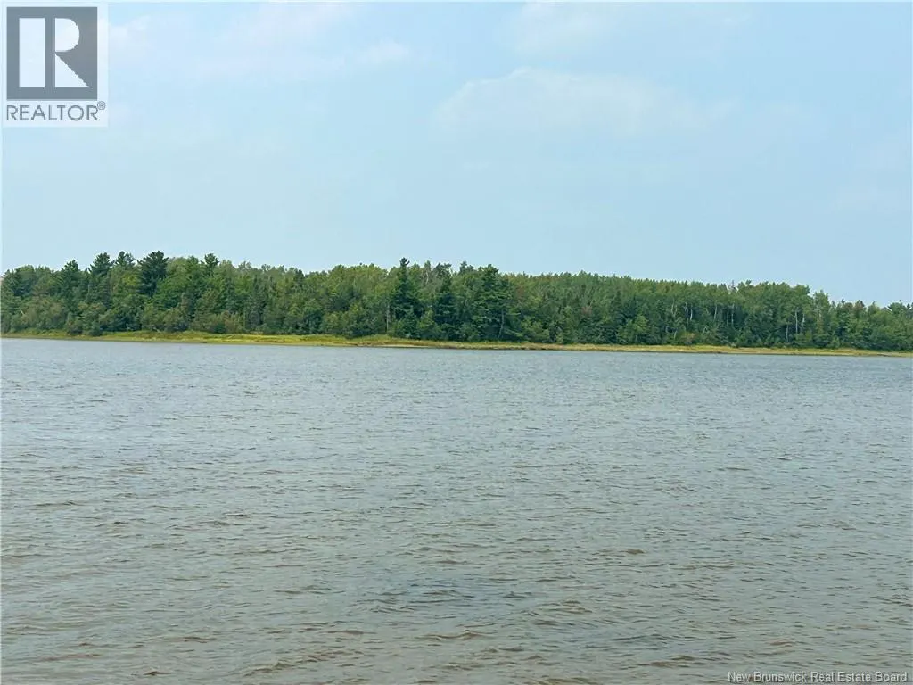 39.85 Acres Point aux Carr Road
