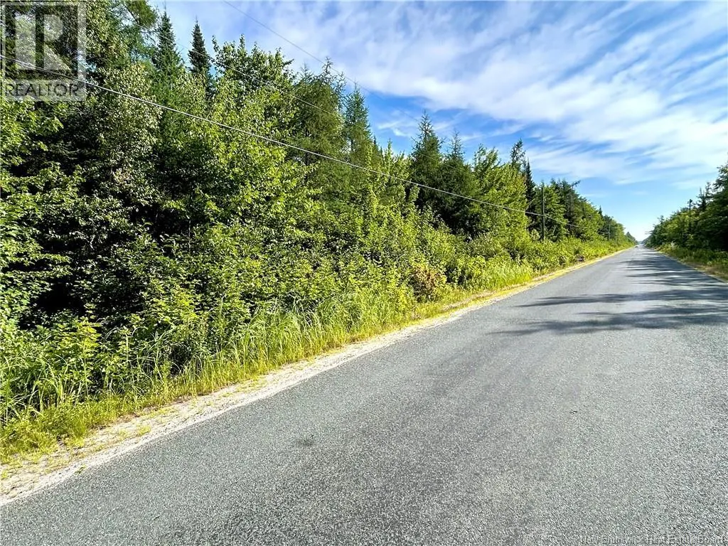 39.85 Acres Point aux Carr Road
