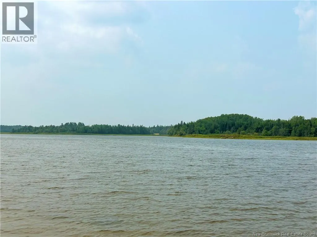 39.85 Acres Point aux Carr Road